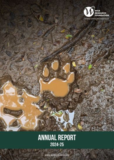 annual reports